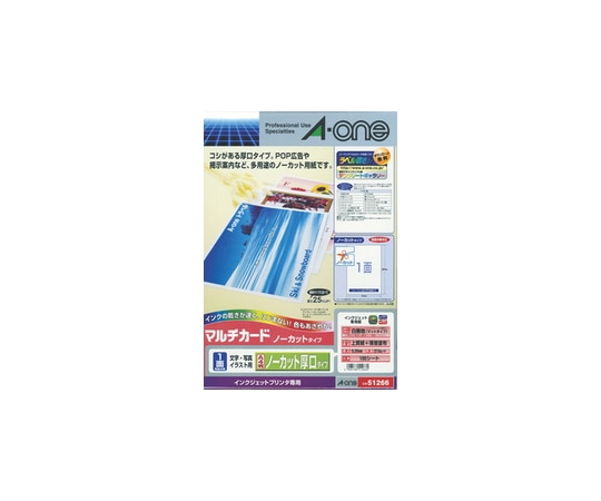 エーワン(A-ONE) マルチカード インクジェットプリンタ専用紙 白無地 厚口タイプ A4判 ノーカット 1パック(100シート入) 51266 1パック(ご注文単位1パック)【直送品】
