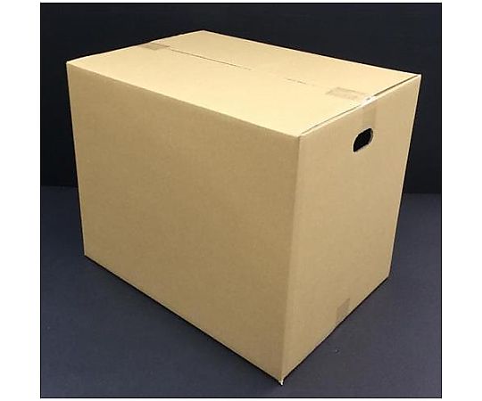 アズワン 544x394x441mm ダンボール(シングル/10枚) EA995BS-76 1箱(ご注文単位1箱)【直送品】