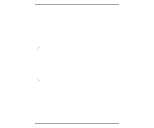 ヒサゴ エコノミーマルチプリンタ 帳票 A4 白紙 2穴 1セット(2500枚入) BPE2001 1セット(ご注文単位1セット)【直送品】