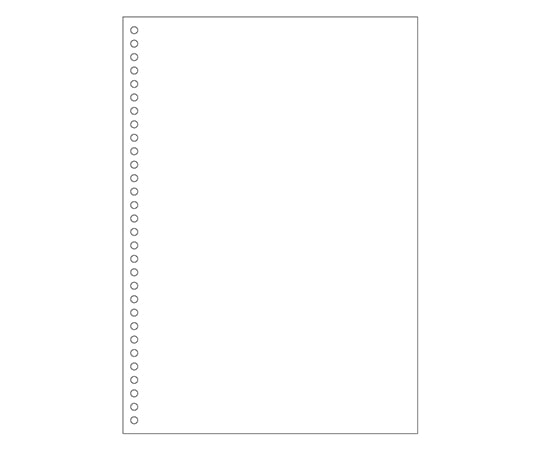 ヒサゴ A4 白紙 30穴 2500枚入 BPE2049 1セット(ご注文単位1セット)【直送品】