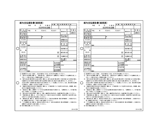 ヒサゴ 給与支払報告書 1セット(500枚入) GB1155 1セット(ご注文単位1セット)【直送品】