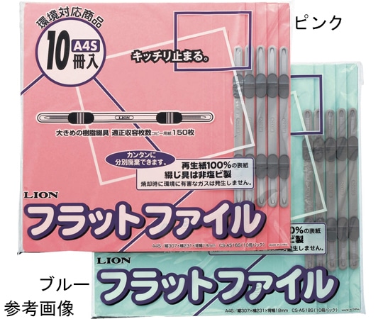 ライオン事務器 フラットファイル 1パック(10冊入) FP(CS)-A518S10P 1パック(ご注文単位1パック)【直送品】