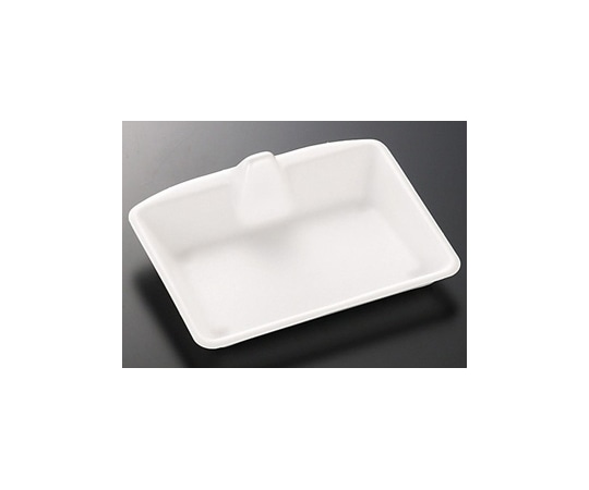 中央化学 刺身・鮮魚容器 ブリッジトレー50 450枚 133959 1ケース(ご注文単位1ケース)【直送品】