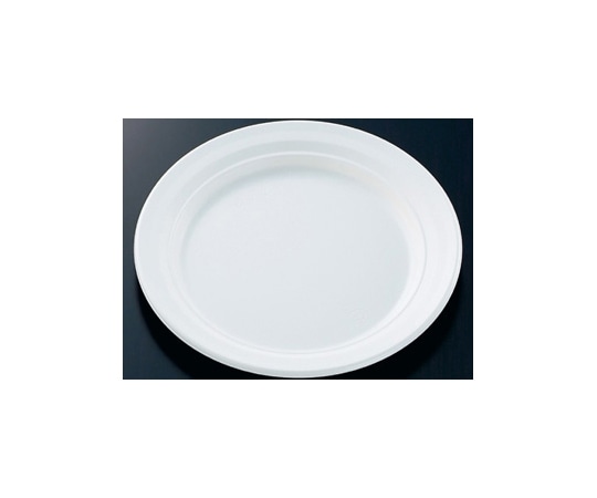 中央化学 惣菜容器 CT沙楽 M24 W 身 400枚 213272 1ケース(ご注文単位1ケース)【直送品】