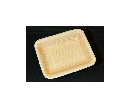 中央化学 トレーCN15-12E 木曽内 3000枚 334094 1ケース(ご注文単位1ケース)【直送品】