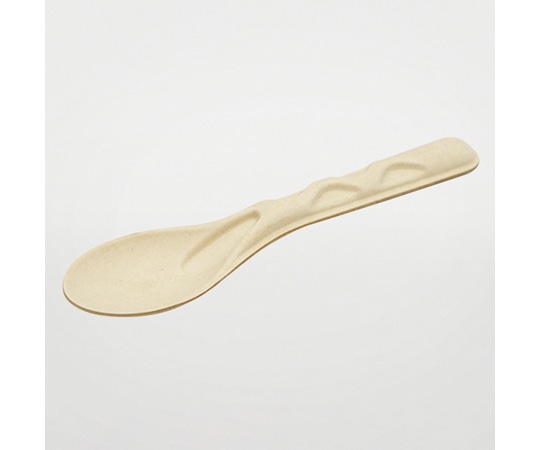 パックスタイル BBカトラリー スプーン 単袋入り 100枚×10パック入 663603 1ケース（ご注文単位1ケース）【直送品】