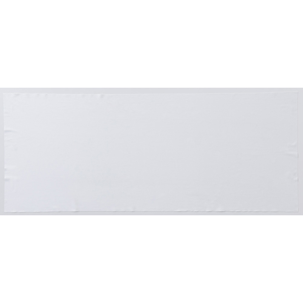 東洋リントフリー ミクロスターワイパー 20枚 FZ808C-01 FREE 1パック (ご注文単位1パック)【直送品】