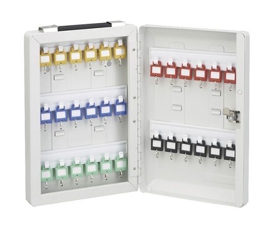 日本緑十字社 キーボックス(壁掛・携帯 兼用)30個吊 199112 1台(ご注文単位1台)【直送品】