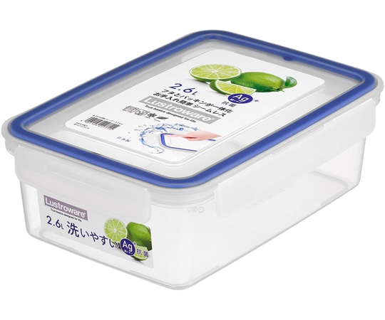 岩崎工業 イージーケアシリーズ イージーケア 2.6L BN 1ケース(5個×6小箱入)  1ケース（ご注文単位1ケース）【直送品】