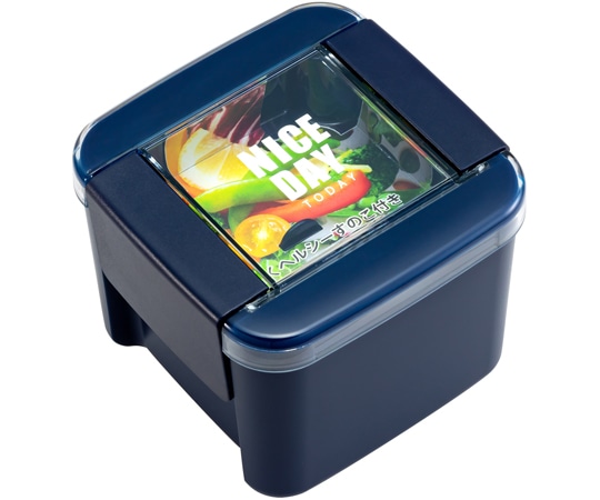 岩崎工業 ランチボックスレディスシリーズ イージーケアランチボックス 深型 NV 1ケース(5個×9小箱入)  1ケース（ご注文単位1ケース）【直送品】