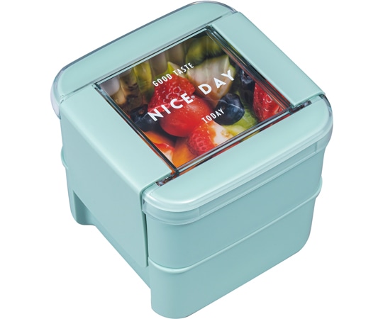 岩崎工業 ランチボックスレディスシリーズ イージーケアランチボックス スクエア2段 MT 1ケース(5個×9小箱入)  1ケース（ご注文単位1ケース）【直送品】