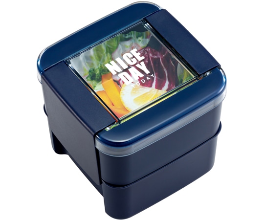 岩崎工業 ランチボックスレディスシリーズ イージーケアランチボックス スクエア2段 NV 1ケース(5個×9小箱入)  1ケース（ご注文単位1ケース）【直送品】