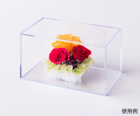 ミノル化学工業 ミノルキューブ (Lロング) クリア×クリア 36個入り  1箱（ご注文単位1箱）【直送品】