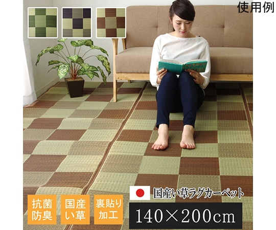 アズワン 純国産 い草ラグカーペット 『Fブロック2』 ブラウン 約140×200cm(裏:ウレタン) 1050980062303 1個（ご注文単位1個）【直送品】