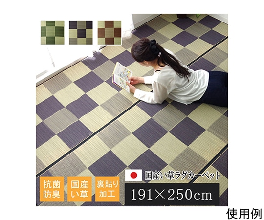 アズワン 純国産 い草ラグカーペット 『Fブロック2』 グレー 約191×250cm(裏:ウレタン) 1050980133904 1個(ご注文単位1個)【直送品】