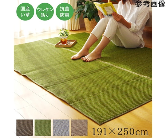 アズワン 純国産 い草ラグカーペット 『Fソリッド』 グリーン 約191×250cm(裏:ウレタン) 1050890123904 1個（ご注文単位1個）【直送品】