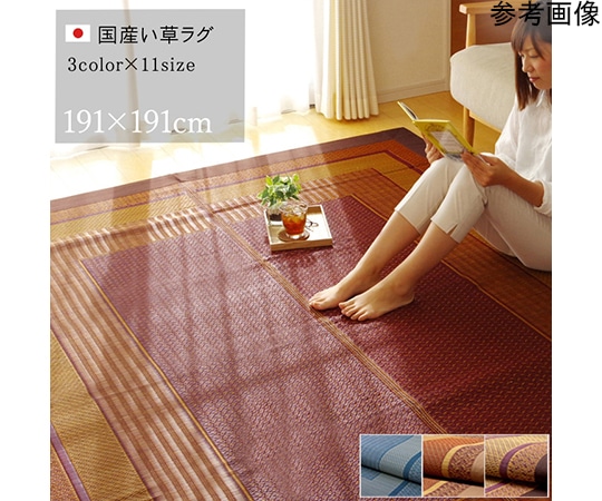 アズワン ラグ 国産 い草 ラグ カーペット 『ランクス』 ベージュ 約191×191cm 1050790023604 1個（ご注文単位1個）【直送品】