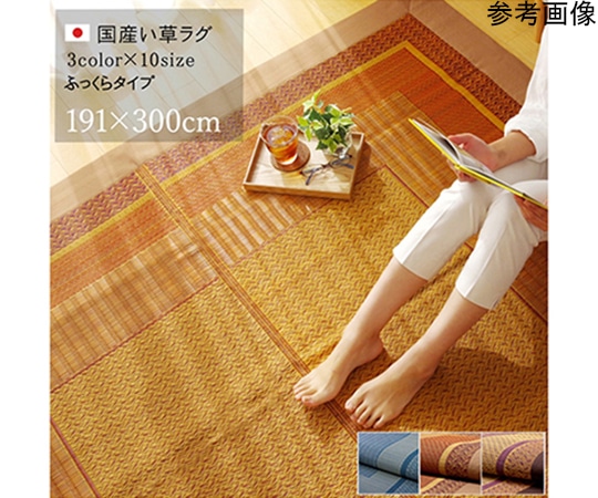 アズワン ラグ 国産 い草 ござ カーペット 『DXランクス』 ベージュ 約191×300cm (裏:不織布) 1050800024105 1個（ご注文単位1個）【直送品】