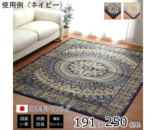 アズワン ラグ 長方形 夏用 ふっくら い草 サークル ネイビー 191×250cm 1050530193904 1個（ご注文単位1個）【直送品】