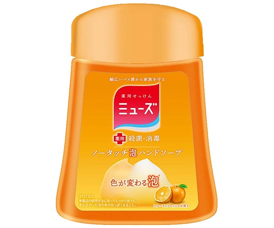 レキットベンキーザー ミューズノータッチ 詰替 フルーティフレッシュ 250mL  1個(ご注文単位1個)【直送品】