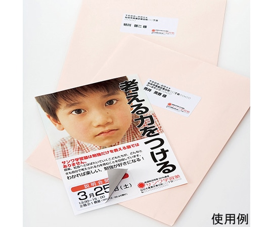 サンワサプライ 下地が透けないマルチラベル 12面 LB-EM25 1セット(ご注文単位1セット)【直送品】