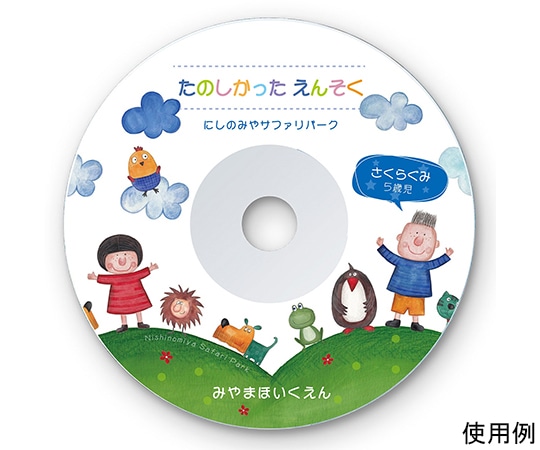 サンワサプライ インクジェットDVD/CDラベル つやなしマット LB-CDR001N 1セット(ご注文単位1セット)【直送品】