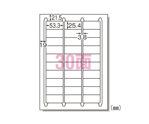 エーワン(A-ONE) マット紙 ラベルシール[インクジェット]A430面 29192 1パック(ご注文単位1パック)【直送品】