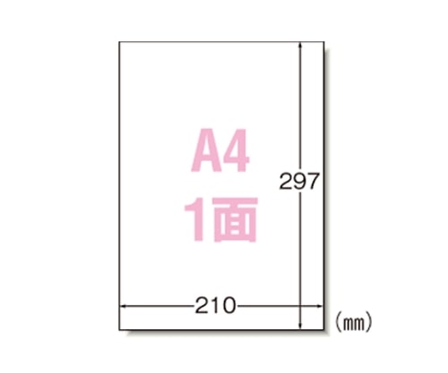エーワン(A-ONE) ラベルシール[プリンタ兼用]マット紙 31151 1箱(ご注文単位1箱)【直送品】