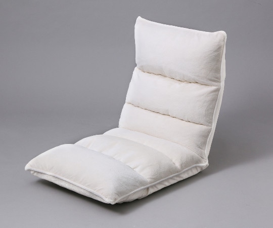 アイリスオーヤマ フロアチェア 低反発 アイボリー ZCR-2 1個（ご注文単位1個）【直送品】