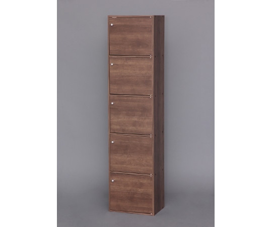 アイリスオーヤマ CBボックス 5ドア ブラウン CX-55FD 1個（ご注文単位1個）【直送品】