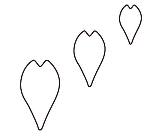 アズワン 生抜 3PC 桜の花びら  1個（ご注文単位1個）【直送品】