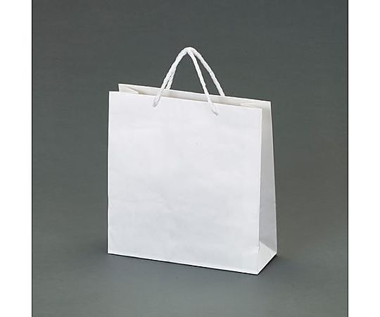 アズワン 320x115x330mm 紙袋(白無地/50枚) EA927SB-24 1束(ご注文単位1束)【直送品】