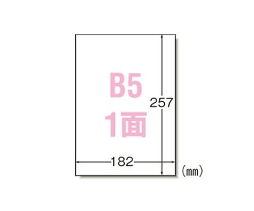 エーワン(A-ONE) ラベルシール[プリンタ兼用]マット紙 28408 1パック(ご注文単位1パック)【直送品】