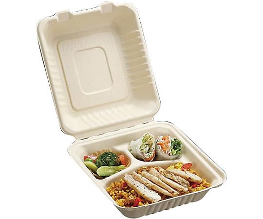 パックスタイル BBランチ200-220-3竹バガス容器50枚 00605987 1パック(ご注文単位1パック)【直送品】