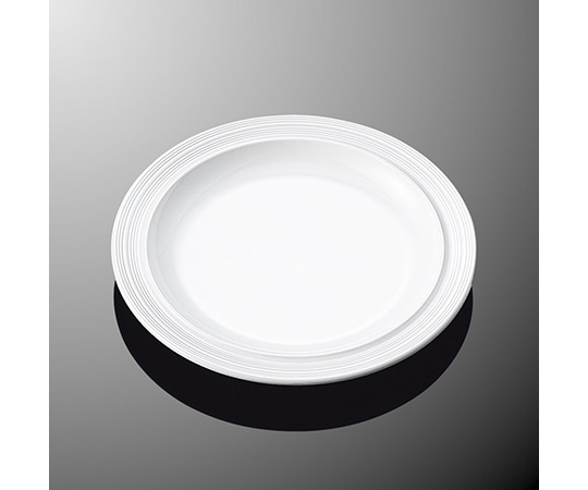 国際化工 19cmプレート ホワイトC E 176-IWC 1個（ご注文単位1個）【直送品】
