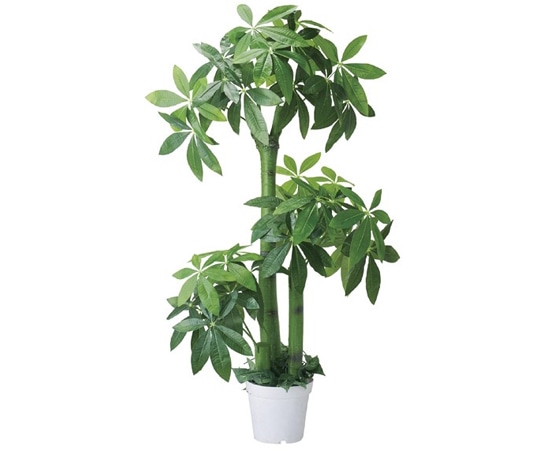 ストア・エキスプレス 人工樹木 フェイクグリーン H150cm パキラ 61-655-55-1 1台（ご注文単位1台）【直送品】