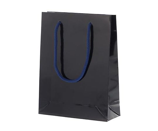 エスコ 185x 65x240mm 紙袋(フィルム加工/紫紺/10枚) EA927SA-56 1セット（ご注文単位1セット）【直送品】