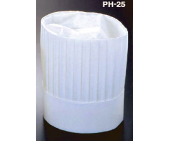 アズワン ニュータイプパリスハット(10枚入)250mm PH-25NT 1セット(ご注文単位1セット)【直送品】