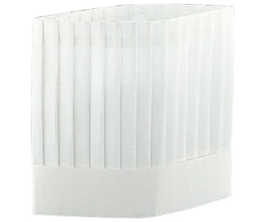 トーダイ クリーンハット角型(10枚入)ナチュラル 250mm YS-25E 1セット（ご注文単位1セット）【直送品】