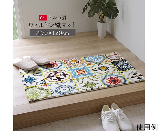 アズワン 玄関マット トルコ製 ウィルトン織り 約70×120cm 抗菌防臭 消臭機能 へたりにくい 1310960016401 1個(ご注文単位1個)【直送品】