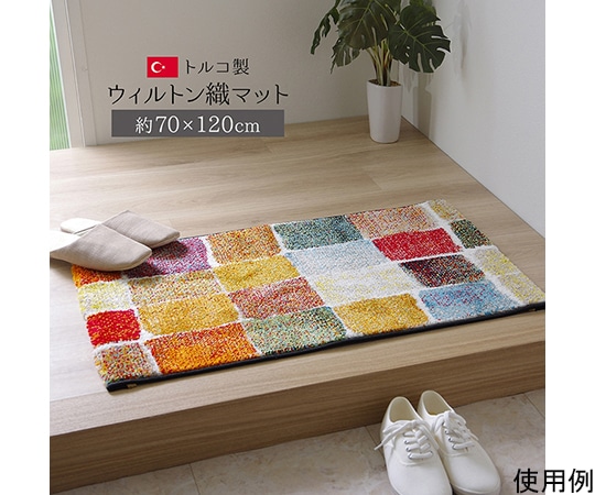 アズワン 玄関マット トルコ製 ウィルトン織り 約70×120cm 抗菌防臭 消臭機能 へたりにくい 1311070016401 1個(ご注文単位1個)【直送品】
