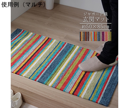 アズワン 玄関マット 部屋 鮮やか 軽い カラフル ベッドサイド ソファー前 約50×85cm マルチ 1311250307201 1個(ご注文単位1個)【直送品】