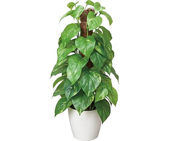 アートクリエイション 人工植物 フレッシュポールポトス 高さ480 382A50N 1個（ご注文単位1個）【直送品】