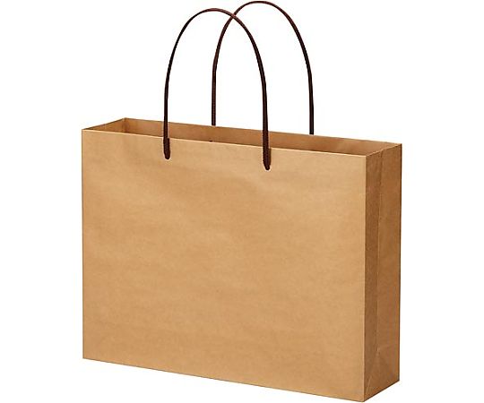 エヒメ紙工 クラフトバッグ 丸紐 L 10枚 CRBC-L10P 1パック（ご注文単位1パック）【直送品】