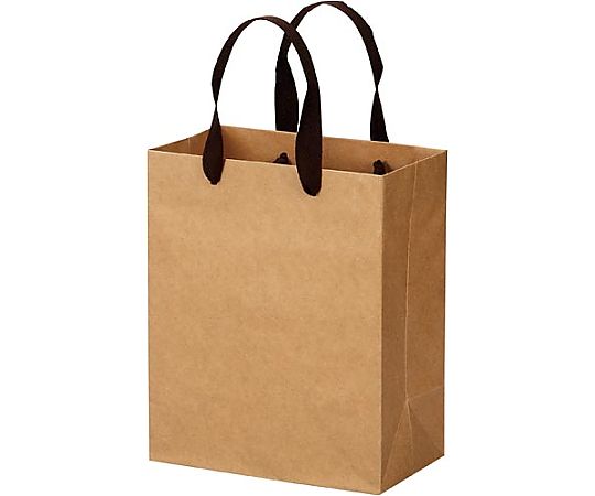 エヒメ紙工 クラフトバッグ 平紐 S 10枚 CRBF-S10P 1パック（ご注文単位1パック）【直送品】