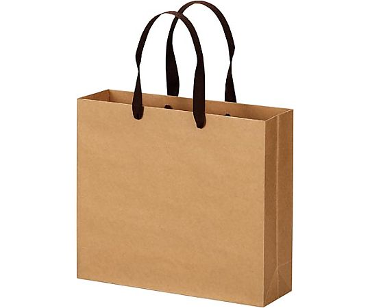 エヒメ紙工 クラフトバッグ 平紐 M 10枚 CRBF-M10P 1パック（ご注文単位1パック）【直送品】