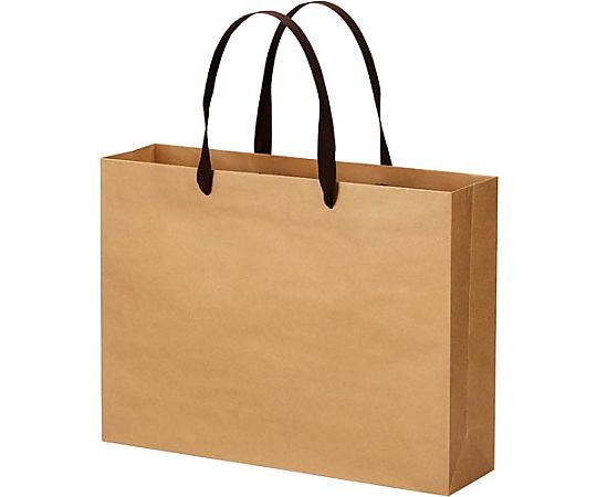 エヒメ紙工 クラフトバッグ 平紐 L 10枚 CRBF-L10P 1パック（ご注文単位1パック）【直送品】