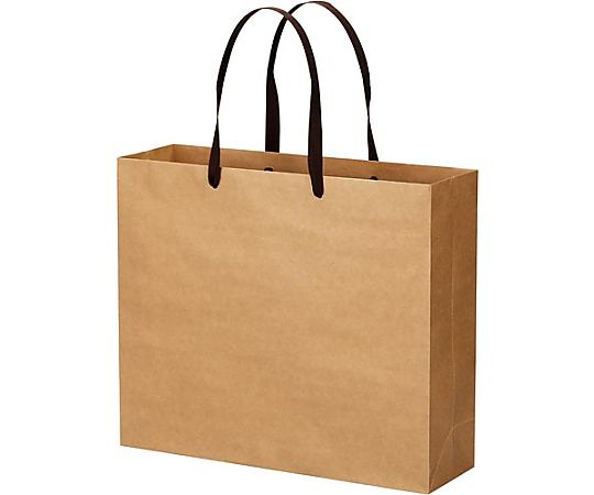 エヒメ紙工 クラフトバッグ 平紐 LL 10枚 CRBF-LL10P 1パック（ご注文単位1パック）【直送品】