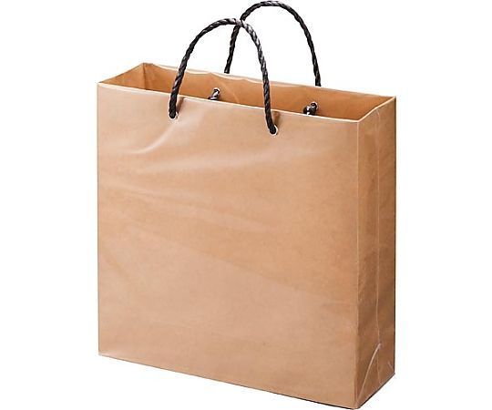 マツシロ 未晒しビニールカバーバッグ 小 10枚 62MBC1 1パック（ご注文単位1パック）【直送品】