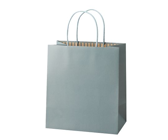 アズワン ST カラーズ アッシュブルー 240×140×270mm 1箱(10枚×10包入) XZT68305 1箱（ご注文単位1箱）【直送品】